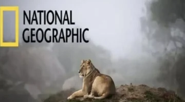 تردد قناة ناشيونال جيوغرافيك 2025 على نايل سات وعرب سات التغيير الأخير وتأثيره على المشاهدين في الوطن العربي 1